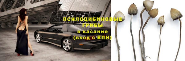 спиды Медвежьегорск