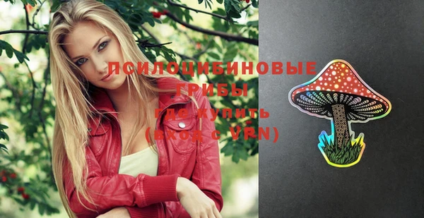 спиды Медвежьегорск
