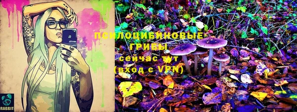 спиды Медвежьегорск