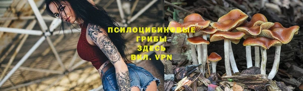 спиды Медвежьегорск