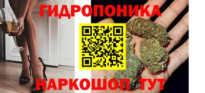 СК Апшеронск