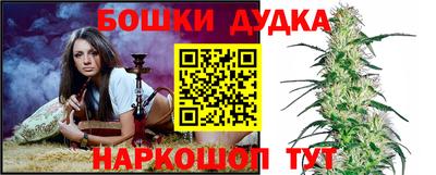 СК Апшеронск