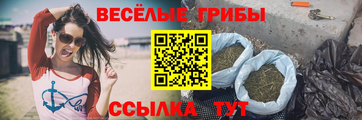 Галлюциногенные грибы GOLDEN TEACHER  Псилоцибиновые грибы ЛСД  Вход с VPN  Десногорск 